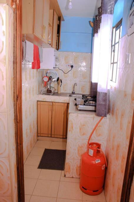 Cozy Homes 1 Bedroom House With Wi-Fi King Size Bed. Free Parking Naivasha Eksteriør bilde